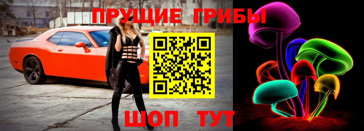 Стрежевой  купить  цена  Вход с VPN  Псилоцибиновые грибы GOLDEN TEACHER  Псилоцибиновые грибы Psilocybine cubensis 
